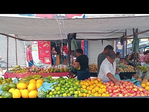 FEIRA LIVRE EM PANELAS_PE 05/09/2026