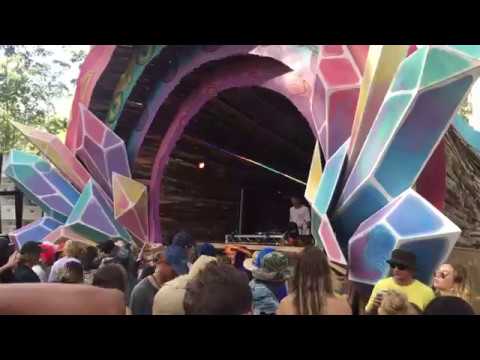 Smilk live rabbits eat lettuce 2018