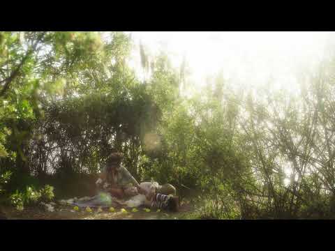 LARE - Cada Paso (Official Visualizer)