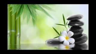 Lotus Blossom:  7 Chakras Healing, Chakra Balancing and Opening, Kundalini Yoga