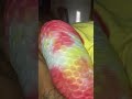 He Loves It Here W His Crazy Ass