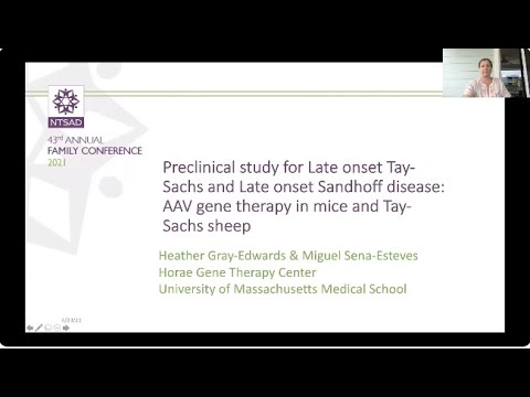 NTSAD Late Onset GM2 | Preclinical LOTSS AAV Gene Therapy