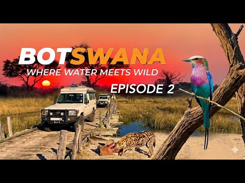 Botswana - Where Water Meets Wild - Episode 2  #botswana #moremi  #overlanding #africa