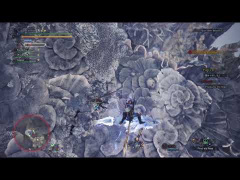 Monster Hunter:World   Long sword problems
