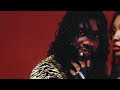 Chicken P Already Official Visualizer