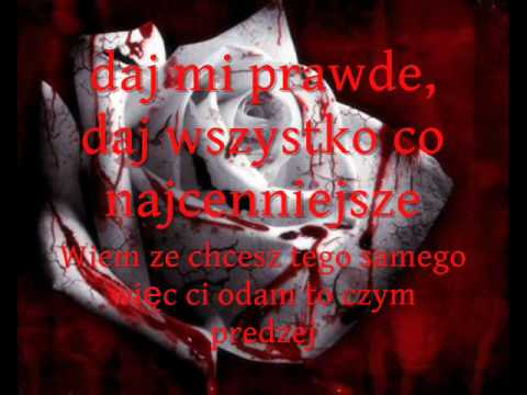 Amfa Kocham Cie Tekst