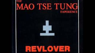 The Mao Tse Tung Experience - Irregular Times 1991