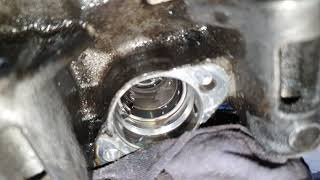 Código 00550 Great Wall Interpretación