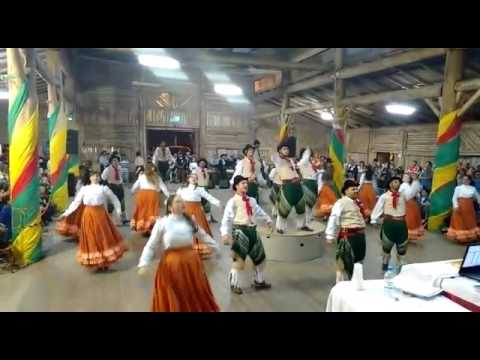 Adulta CTG Chaleira Preta