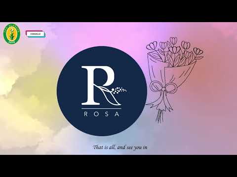 21. Codezilla - Rosas