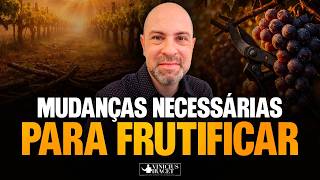 MUDANÇAS NECESSÁRIAS PARA FRUTIFICAR @ViniciusIracet ​