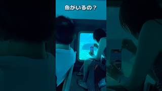 一度は乗ってみたい宮古島の海水中観測客船。#沖縄 #宮古島 #海