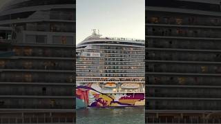 #shorts #ship #cruise #cruiseship #iconoftheseas #royalcaribbean #msc #msccruises
