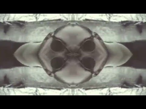 Carlsson Colucci - Guck auf den Carlsson (Official Video)