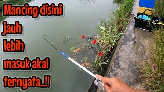 Download lagu IF I KNEW THIS, I WOULD HAVE COME HERE ‼️ fishing for red devil fish NAHOL MANIA mp3