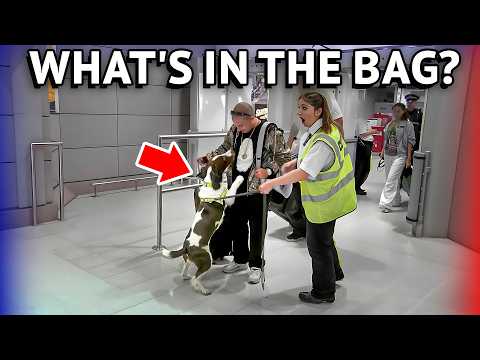 Airport Sniffer Dogs Can't Get Enough Of This Passenger!