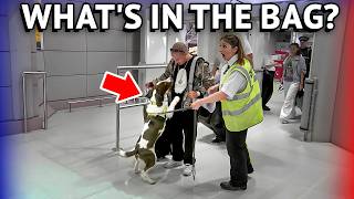Airport Sniffer Dogs Can't Get Enough Of This Passenger!