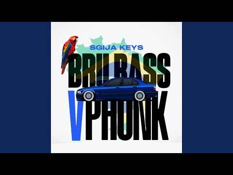 Brii Bass v Phonk