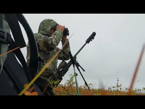This gets my blood pumping!! Hunting caribou!!