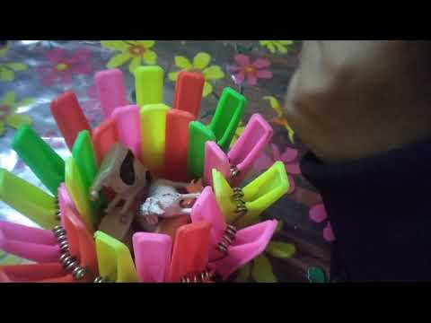 Clip. Cake and flower done by Mehreen