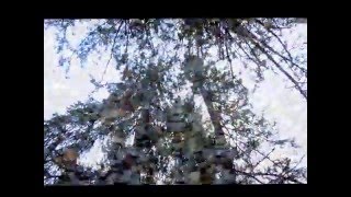 Zerulean ~ Lord Raja