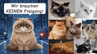 7 Katzenrassen, die in der WOHNUNG glücklicher sind als draußen!