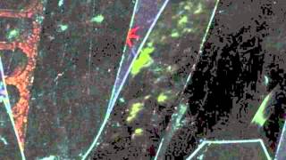 Young And Sexy - The Poisoned Cup