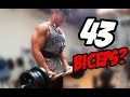 perdi os 43cm de braço?/ treino de peito e biceps