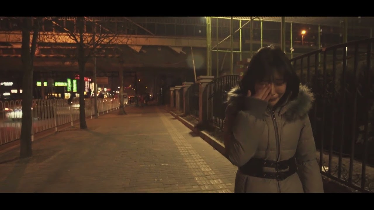 December Swallow - TRAILER