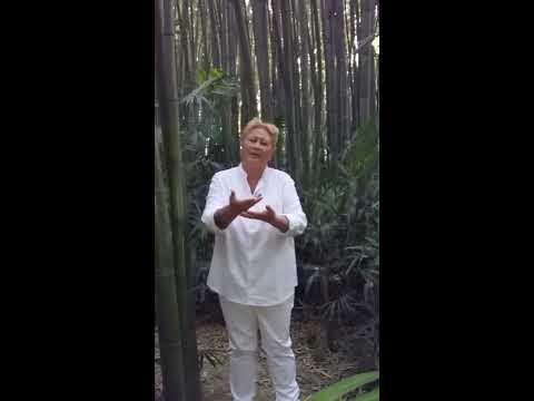 A tuu mai i te here / MAIRE TAVAEARII