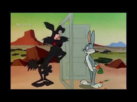 Duško dugusko ptica trkačica i pera kojot