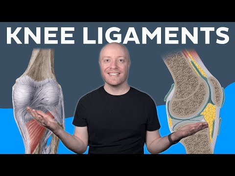 Ligaments of the knee anatomy | Kenhub