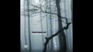 Trentemoller - While the Cold Winter Waiting