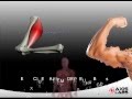 What Are BCAA's And How Do They Work? | Axis Labs What Are BCAA's And How Do They Work? | Axis Labs