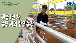 [한우愛 빠진 초보 농부 승우 씨] 귀농 1년 차 승우 씨의 한우 농장