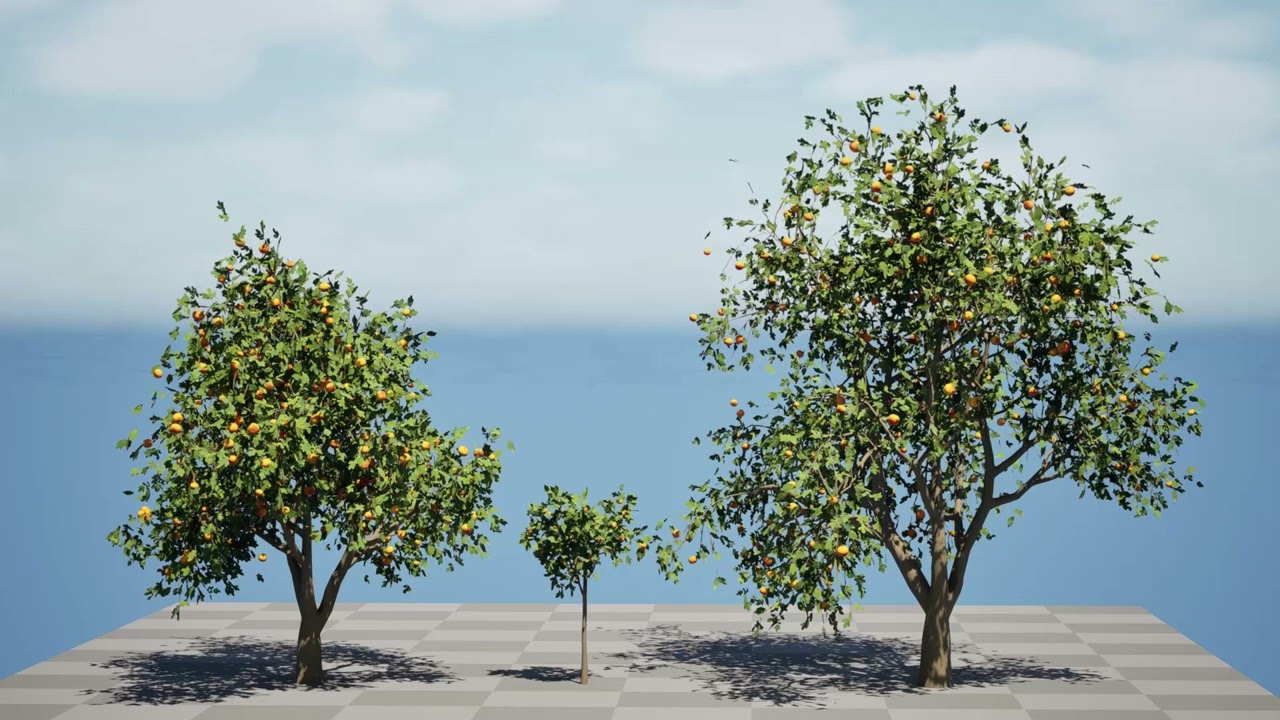 グレープフルーツの木 3Dモデル