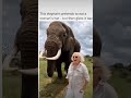elephant like to have fun #fyp #funny #tiktok