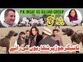Jaga Vs Tiger Big Match P K Insaf Vs Gujjar Group Famous Bully Dogs Champion Bully Dogs