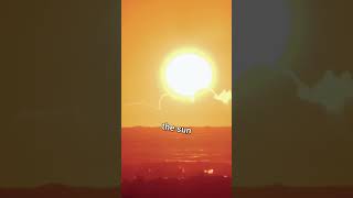 Vietnam has 2 new year celebrations #fyp #shorts