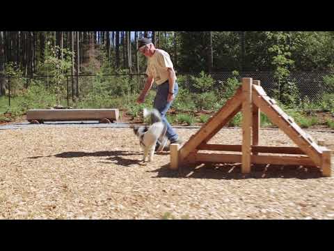 NEW Tehaleh Spotlight: Hounds Hollow Dog Park