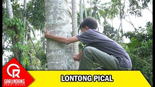 Download lagu Lontong Pical | Garundang 169 mp3 Download lagu Lontong Pical | Garundang 169 mp3