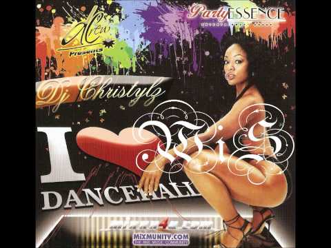 Dancehall/Reggae Mix 2012 - Best Of 2012 Riddims