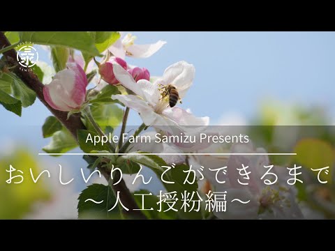 独自のリンゴリングの作成: オプションの概要 植物