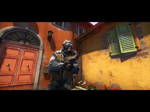 CS:GO - TEAM VANDALISM81 (Fragmovie) ‹ wdX ›