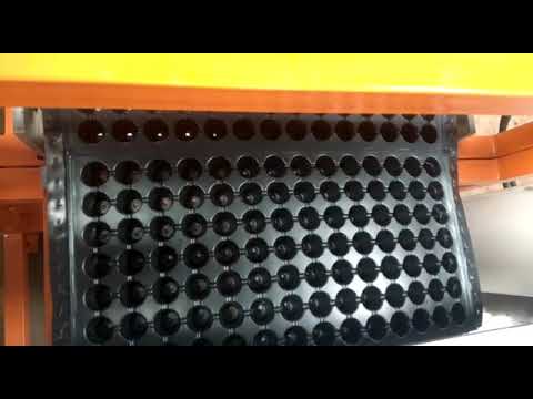 Nursery Tray Making Machine