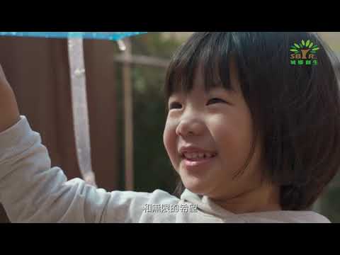 傘花朵朵開 串起臺灣之光產業聚落