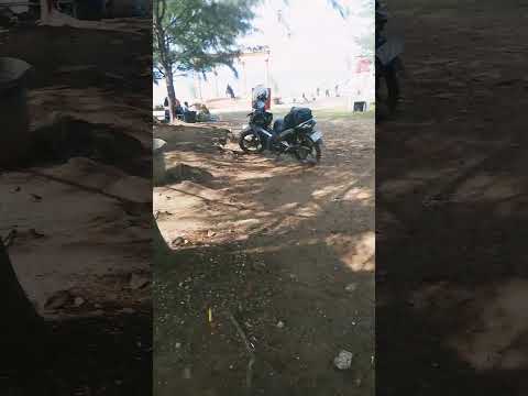 pantai cemara balongan indramayu