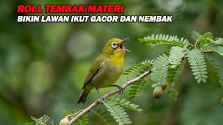 Download lagu PANCINGAN PLECI ROLL TEMBAK MATERI PANJANG, BIKIN LAWAN IKUT GACOR DAN NEMBAK mp3 Download lagu PANCINGAN PLECI ROLL TEMBAK MATERI PANJANG, BIKIN LAWAN IKUT GACOR DAN NEMBAK mp3