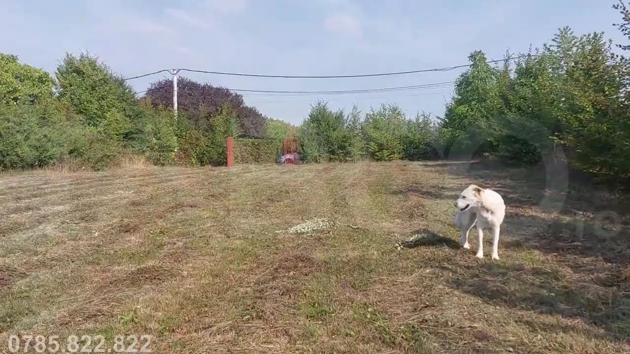 Teren intravilan 2079mp 2 fronturi PUZ curent apa langa parcela Tocile - Video