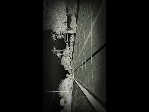 2006 tomos a35 fully loaded!!!!